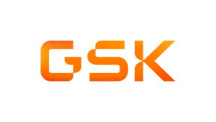 Gold Sponsor